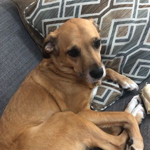 Meet your Posher, Christine